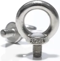 DIN 580 Ringschraube Edelstahl V2A Rostfrei M 8 -25 Stück