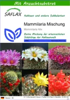 SAFLAX - Kakteen - Mammilaria Mischung - 40 Samen - Mit keimfreiem Anzuchtsubstrat - Mammilaria Mix