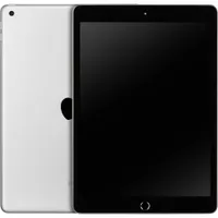 Apple 10.2inch iPad Wi-Fi 256GB Silver              MK2P3FD/A