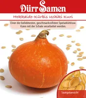 Dürr-Samen - Hokkaido-Kürbis Uchiki Kuri - Saatgut - 1826