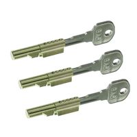 BASI - Schlüssellochsperrer - SS 12 - Gleichschließend - je 2 Schlüssel - 3er SET - 9000-1201