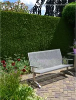 Lebensbaum Thuja Brabant 120-140 cm, 8x Heckenpflanze