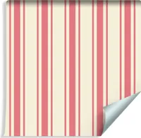 10m VLIES TAPETE Roll Geometry Classic Retro Stripes XXL