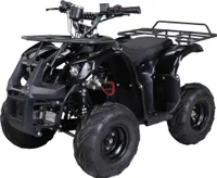 Elektro-Kinderquad S-8 - ATV - 1000 Watt - Scheiben-/Trommelbremsen - 2 Stufen drosselbar - Bis 20 km/h - Ab 8 Jahre - Bis 80 kg (Schwarz)