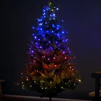 Kaemingk Lichterkette App- gesteuert Dancing Lights 100 Lichter