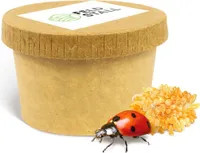100-150 Siebenpunkt-Marienkäfer Eier/Larven - Natürliche Schädlingsbekämpfung der Blattläuse für Garten, Kleingewächshäuser, Wintergarten, Büro