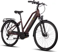 SAXONETTE  E-Trekkingbike Premium Sport , Mittelmotor 522 Wh Akku, Pedelec, Elektrofahrrad, (Trapez Rahmenhöhe 50cm , bordeaux )