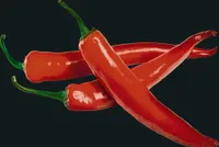 Wenko Glasrückwand Hot Peperoni 60x70 cm 2713100100