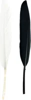 Indianderfeder schwarz-weiß 13 cm ca. 15 Stück