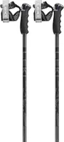 Leki Alpino Detect S Stöcke Silber 110 cm Silber 110 cm