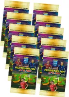 Panini Fifa 365 Cards 2025 - Trading Cards Obchodné karty - 10 Booster