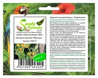 5x Gelbe JohannisbeereTomaten Garten Pflanzen - Samen PW77