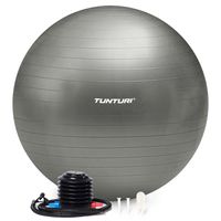 Tunturi Anti Burst Fitnessball mit Pumpe - Yoga-Ball 55 cm - Pilates-Ball - Schwangerschaftsball – 220 kg Benutzergewicht - Inklusive Trainings-App – Silber