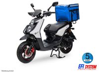 RoadRunner weiß 50ccm 45 km/h Retro Motor Roller Scooter Mofa Lieferroller