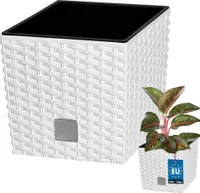 KOTARBAU® Blumentopf 200 mm Übertopf mit Innentopf für Pflanzenzucht Weiß