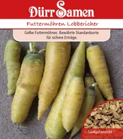 Dürr-Samen - Futtermöhren Lobbericher - Saatgut - 0069