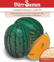 Dürr-Samen - Orangefleischige Wassermelonen Luteo F1 - Saatgut - 4368