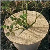 Kokos Mulchscheibe Ø 15 cm