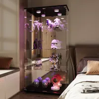 CDGlobal Vitrinenschrank mit Glastüren und Beleuchtung, Glasvitrine Stehend mit 4-stufigen Einlegeböden, Vitrine mit Glastüren Schwarz für Sammlerstücke Bücher Wein