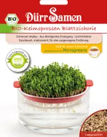 Keimsprossen Blattzichorie |Keimsprossen von Dürr Samen [MHD 12/2024]