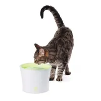 Fontanna do picia CATIT Fresh+Clear 3L - limonkowa zieleń