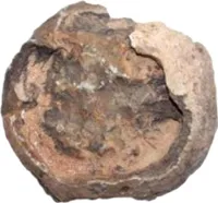 ok. 3 kg kamień dinozaura, kamienie dekoracyjne, akwarium, jaja dinozaurów