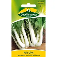 Pak Choi Chinesischer Senfkohl
