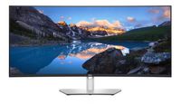 Dell UltraSharp U4021QW - Monitor LED - zakrzywiony - 100,8 cm (39,7")