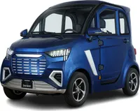 STORMBORN XL GT side-by-side - dunkelblaumetallic - 45 km/h - Kabinenfahrzeug