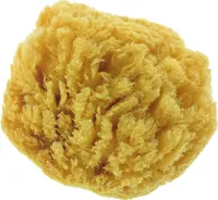 Naturschwamm 1 Stück