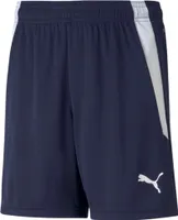 Puma Teamliga Shorts Kinder - Marine