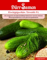 Dürr-Samen - Einlegegurken Tornado F1 - Saatgut - 1813