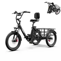 20*3,0 Zoll faltbares Elektro-Dreirad mit 250W Motor, 48V18Ah Akku