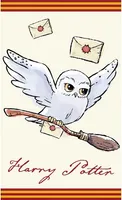 Harry Potter Hedwig HP213003-R Detský uterák 30 x 50 cm