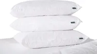 Belledorm - Kopfkissen BM420 (74 cm x 48 cm) (Weiß)