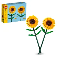 LEGO Icons Sukkulenten Künstliche Blumen Set für Erwachsene,  Blumenstrauß-Bausatz, Kreatives Hobby, Home Deko, Geschenk-Idee für Frauen,  Männer, Sie & Ihn, Botanische Sammlung (Baue 9 Pflanzen) 10309: :  Spielzeug