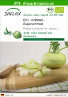 SAFLAX - BIO - Kohlrabi - Superschmelz - 20 Samen - Mit keimfreiem Anzuchtsubstrat - Brassica oleracea