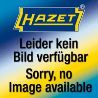 Hazet 161T-179N/4 Trennblechsatz 161T-179N/4 1 St