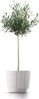 Blumentopf Ryfo Eco Wood für Innen- und Außenbereich Pflanzgefäß Rund Kunststoff UV-beständig 168mm, ECO Weiß
