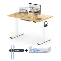FLEXISPOT Höhenverstellbarer Schreibtisch Basic 100x60cm mit Kabelmanagement und Haken - Ergonomisches Sitz-Stehpult mit einteiliger Tischplatte Maple