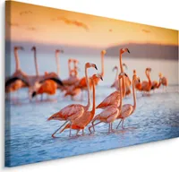 Fabelhafte Canvas LEINWAND BILDER 40x30 cm XXL Kunstdruck Vögel Flamingos Wasser