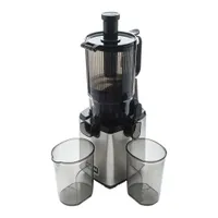 TESLA SlowJuicer SJ770 XXL Deluxe, nízkootáčkový šnekový odšťavovač, príkon 250 W, telo z nehrdzavejúcej ocele, spätný chod, veľký plniaci otvor, nehrdzavejúca oceľ