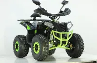 Kinderquad XXL Elektro Quad Miniquad 1200 Watt 48V 12 PS Tacho Achsmotor 8 Zoll