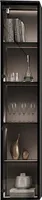 Hängevitrine Vitrine Vitrinenschrank FIVO 03 schwarz  35x180x30cm