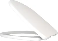 WC Sitz Toiletten Deckel Klodeckel Klobrille Absenkautomatik Schnellverschluss SoftClose Duroplast WCD04