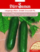 Dürr-Samen - Vespergurken Sweet Crunch F1 - Saatgut - 1147