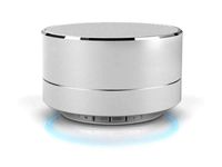 Reekin Marlin Lautsprecher mit Bluetooth Freisprech (Silber)