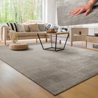 Moderner Wohnzimmer Teppich Kurzflor Waschbar Weich Einfarbig Felloptik Anti-Rutsch Grösse 300x400 cm