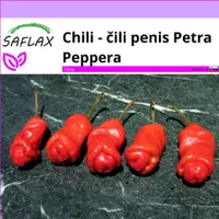 SAFLAX - Chili - čili penis Petra Peppera - Capsicum annuum - 10 Semená