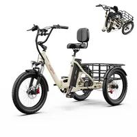 Onesport 20 Zoll Elektro Trike, Elektrofahrrad, 48V/18Ah,  Beige